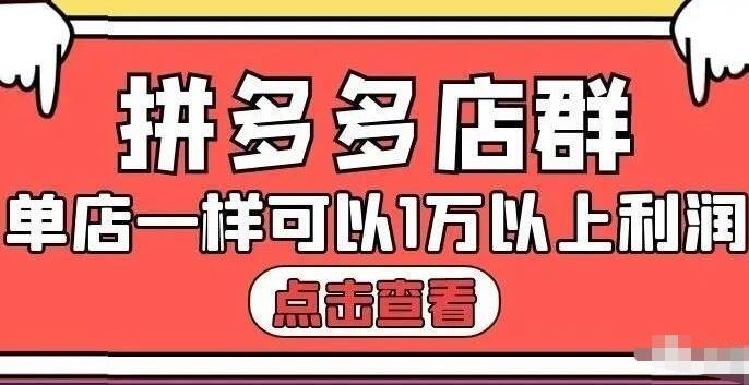 拼多多店群单店一样可以产出1万5以上利润【付费文章】-享创网