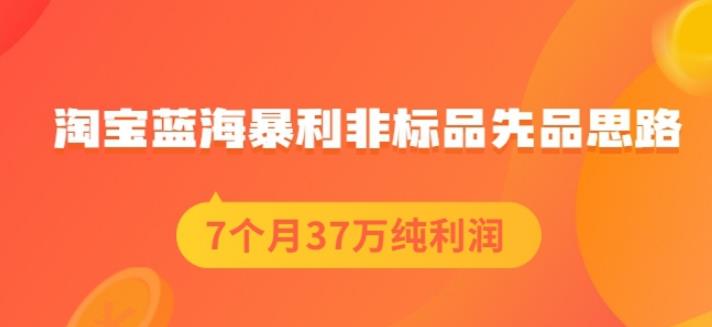 盗坤淘宝蓝海暴利非标品先品思路，7个月37万纯利润，压箱干货分享！【付费文章】-享创网