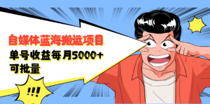 自媒体蓝海搬运项目，价值680元-享创网