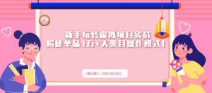 新手玩转虚拟项目实战,揭秘单品1万+大类目操作模式【视频课程】-享创网
