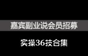 嘉宾副业说实操36技合集，价值1380元-享创网