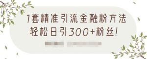 1套精准引流金融粉方法,轻松日引300+粉丝【视频课程】-享创网