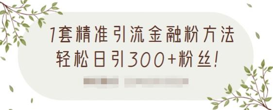 1套精准引流金融粉方法，轻松日引300+粉丝【视频课程】-享创网