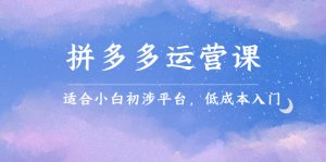 拼多多运营课，适合小白初涉平台，低成本入门-享创网