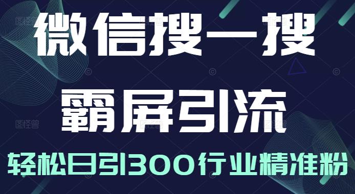 微信搜一搜霸屏引流课，打造被动精准引流系统，轻松日引300行业精准粉【无水印】-享创网