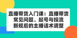 直播带货入门课：直播带货常见问题、起号与投流、新规后的主播话术调整-享创网