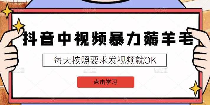 2022抖音中视频暴力薅羊毛白嫖项目：新号每天20块，老号几天几百块，可多号-享创网