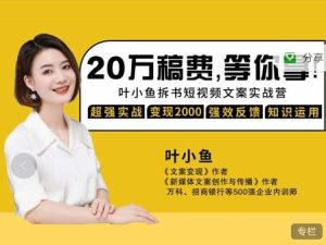 叶小鱼21天短视频文案拆书营，学完轻松搞定各类书单短视频文案-享创网