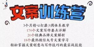 龙小天《文案训练营》全面系统解决文案写作难题！-享创网
