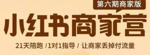 贾真-小红书商家营第6期商家版,21天带货陪跑课,让商家丢掉付流量-享创网