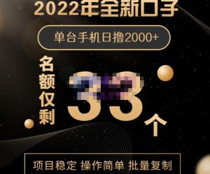 2022年全新口子，手机批量搬砖玩法，一部手机日撸2000+-享创网