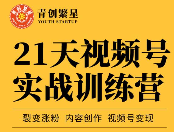 张萌21天视频号实战训练营，裂变涨粉、内容创作、视频号变现 价值298元-享创网