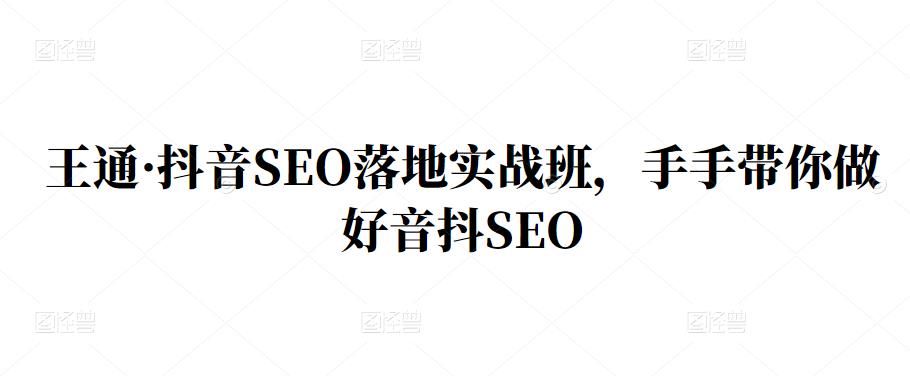 王通·抖音SEO落地实战班，手‬手带你做好音抖‬‬SEO-享创网