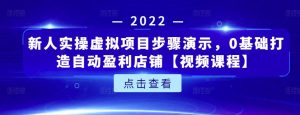 新人实操虚拟项目步骤演示,0基础打造自动盈利店铺【视频课程】-享创网