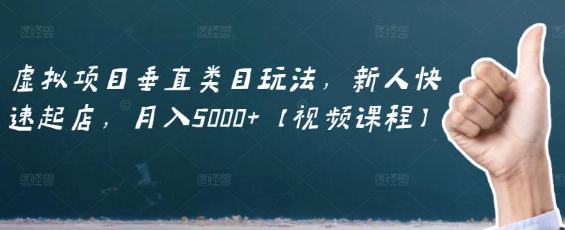 虚拟项目垂直类目玩法，新人快速起店，月入5000+【视频课程】-享创网