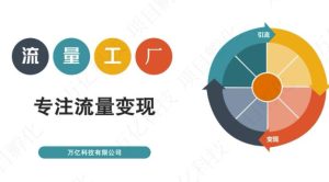 收费3980的流量工厂回粉项目，号称1个粉10元【详细玩法教程解析】-享创网
