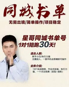 星哥同城教育书单号课程,无需出境简单操作项目稳定-享创网