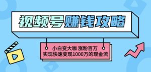 玩转微信视频号赚钱：小白变大咖涨粉百万实现快速变现1000万的现金流-享创网