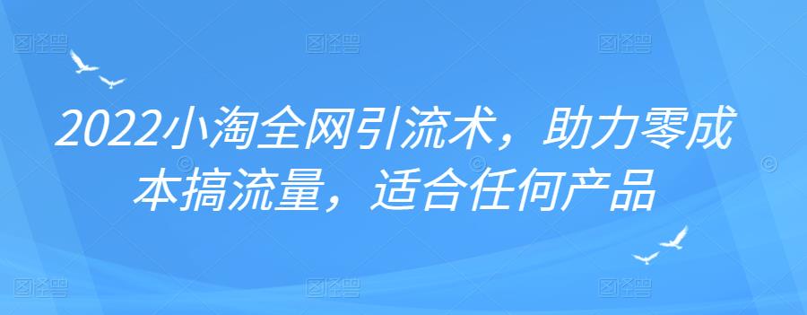 2022年小淘全网引流术，助力零成本搞流量，适合任何产品-享创网