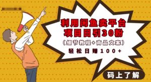 利用闲鱼卖平台项目课程资源日引流30+精准粉丝，轻松日赚100+，积累人脉可实现二次变现（细节教程+商品文案）-享创网