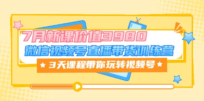 微信视频号直播带货训练营，3天课程带你玩转视频号：7月新课价值3980-享创网