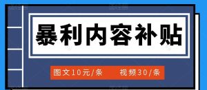 百家号暴利内容补贴项目，图文10元一条，视频30一条，新手小白日赚300+-享创网