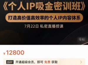 个人IP吸金密训班，打造高价值高效率的个人IP内容体系（价值12800元）-享创网