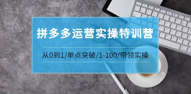 拼多多运营实操特训营：从0到1/单点突破/1-100/带领实操 价值2980元-享创网