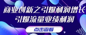 《商业创新之引爆利润增长》引爆流量业绩利润-享创网