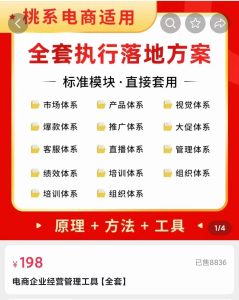 外面卖198·电商企业经营管理工具：全套执行落地方案 标准模块·直接套用-享创网
