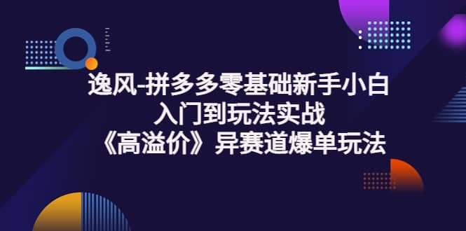 拼多多零基础新手小白入门到玩法实战《高溢价》异赛道爆单玩法实操课-享创网