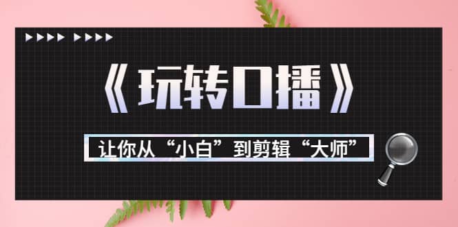 月营业额700万+大佬教您《玩转口播》让你从“小白”到剪辑“大师”-享创网