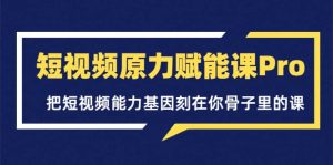 短视频原力赋能课Pro，把短视频能力基因刻在你骨子里的课（价值4999元）-享创网