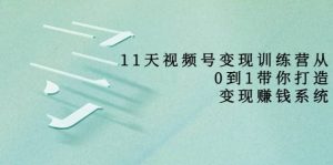 好望角·11天视频号变现训练营,从0到1打造变现赚钱系统(价值398)-享创网