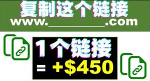 复制链接赚美元，一个链接可赚450+，利用链接点击即可赚钱的项目(视频教程)-享创网