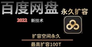 百度网盘无限扩容技术，外面卖399的，自用或出售都可以-享创网