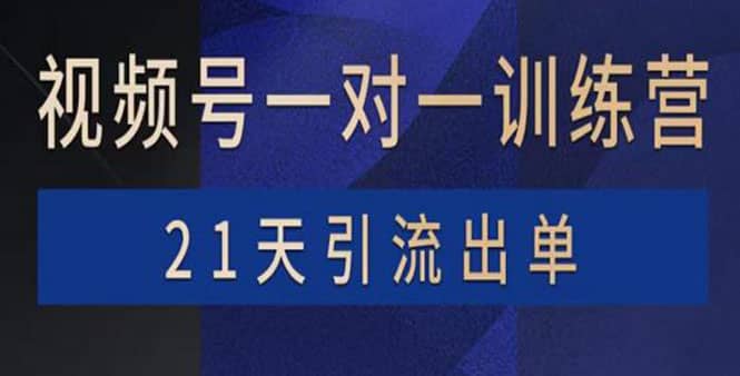 视频号训练营：带货，涨粉，直播，游戏，四大变现新方向，21天引流出单-享创网