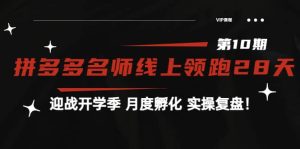 《拼多多名师线上领跑28天-第10期》迎战开学季 月度孵化 实操复盘!-享创网