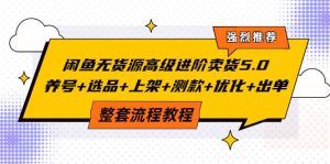 闲鱼无货源高级进阶卖货5.0，养号+选品+上架+测款+优化+出单整套流程教程-享创网