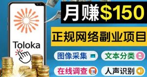 正规网络副业赚钱平台Toloka，利用业余时间月赚150美元-享创网