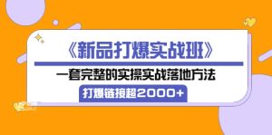 《新品打爆实战班》一套完整的实操实战落地方法,打爆链接超2000+(38节课)-享创网