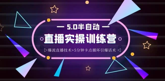 蚂蚁·5.0半自动直播2345打法，半自动爆流直播技术+5分钟卡点循环引爆话术-享创网