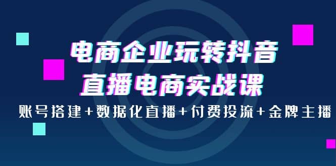 电商企业玩转抖音直播电商实战课：账号搭建+数据化直播+付费投流+金牌主播-享创网