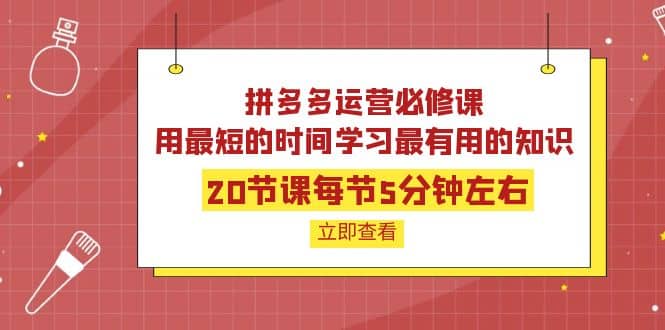 拼多多运营必修课：20节课每节5分钟左右，用最短的时间学习最有用的知识-享创网