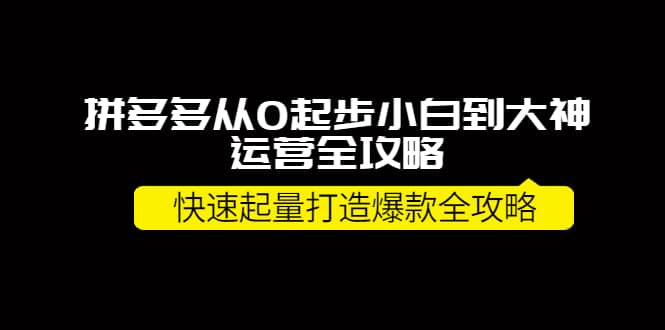 拼多多从0起步小白到大神运营全攻略-享创网