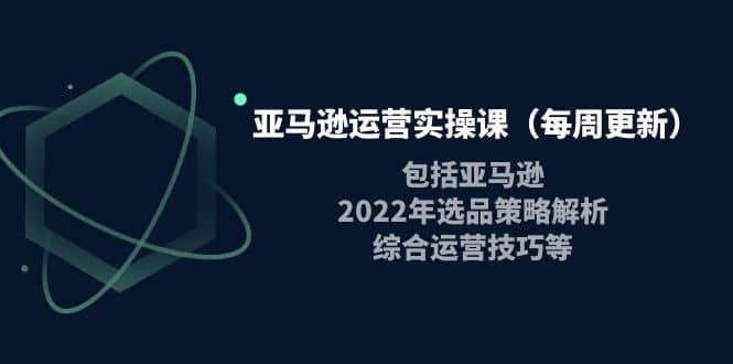 亚马逊运营实操课（每周更新）包括亚马逊2022选品策略解析，综合运营技巧等-享创网