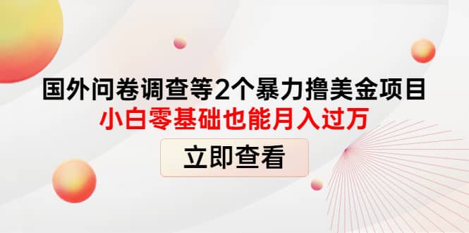 国外问卷调查等2个暴力撸美元项目，小白零基础也能月入过万-享创网