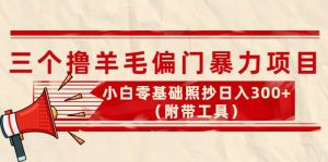 外面卖998的三个撸羊毛项目，小白零基础照抄（附带工具）-享创网
