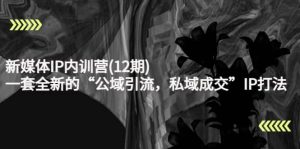 新媒体IP内训营(12期)，一套全新的“公域引流，私域成交”IP打法，直接带走-享创网