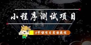 小程序测试项目 从星图 搞笑 网易云 实拍 单品爆破 抖音抖推猫小程序变现-享创网
